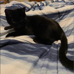 Meet your Posher, Elle